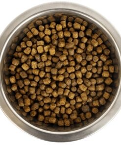 YOURDOG KONINGSPOEDEL PUP