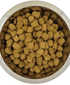 YOURDOG KONINGSPOEDEL SENIOR