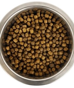 YOURDOG DWERG- OF TOYPOEDEL PUP