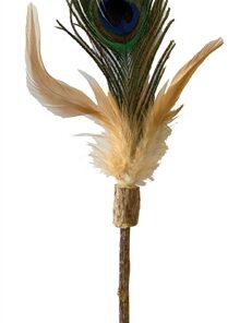 CROCI EUPHORIA KATTENHENGEL MATATABI PAUWENVEER