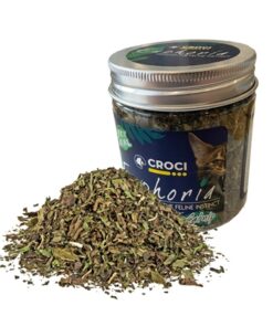 CROCI EUPHORIA CATNIP POT