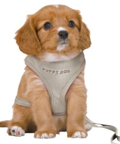 TRIXIE HONDENTUIG JUNIOR PUPPY SOFTTUIG MET RIEM LICHTGRIJS