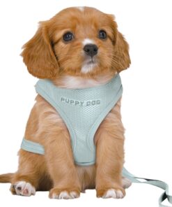 TRIXIE HONDENTUIG JUNIOR PUPPY SOFTTUIG MET RIEM MINTGROEN