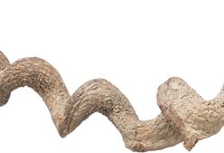 TRIXIE ZITSTOK HANGEND DRAKENHOUT