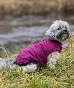 TRIXIE HONDENJAS ARLAY BES