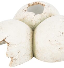 TRIXIE REPTIELENSCHUILPLAATS EIEREN POLYESTERHARS WIT