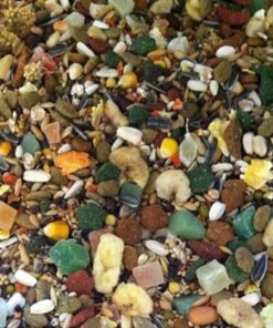 HARECO PAPEGAAI SELECT ZONDER PELLETS