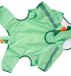 FOFOS REGENJAS DINOSAURUS GROEN