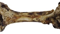 PETSNACK DINOBOT XXL