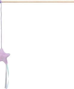 TRIXIE KITTENHENGEL MET STER