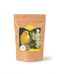 UTOPIA KANARIES TOP QUALITY