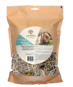 UTOPIA TIMOTHY HOOI MET BLOEMEN