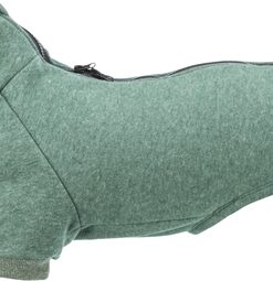 TRIXIE CITYSTYLE HONDENTRUI SWEATSHIRT AMSTERDAM SALIEGROEN