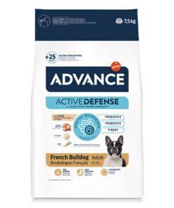 ADVANCE ADULT FRENCH BULLDOG