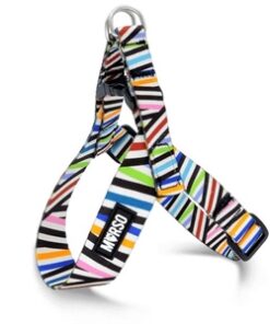 MORSO MINI HONDENTUIG VERSTELBAAR GERECYCLED SPAGHETTI INCIDENT