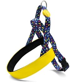 MORSO NORWEGIAN HONDENTUIG GERECYCLED COLOR INVADERS PAARS