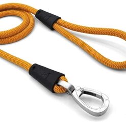 MORSO HONDENRIEM REGULAR ROPE GERECYCLED GOLD GOUD