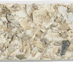 TRIXIE PIKSTEEN MET SCHELPEN MINERALEN EN MOSSELEN