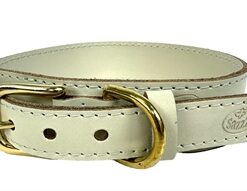 SAZZZ HALSBAND HOND PIONEER CLASSIC LEER CREME