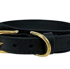 SAZZZ HALSBAND HOND PIONEER CLASSIC LEER ZWART
