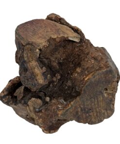 DOG WOODZZZ KAUWWORTEL MET OLIJFOLIE