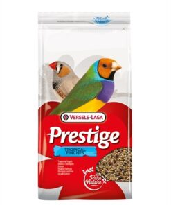 PRESTIGE TROPISCHE VOGEL