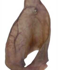 PETSNACK VARKENSOREN