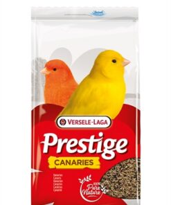 PRESTIGE KANARIES ZANGZAAD