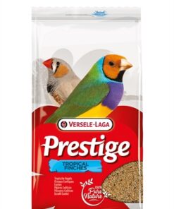 PRESTIGE TROPISCHE VOGEL