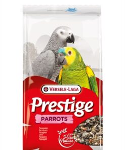 PRESTIGE PAPEGAAIEN