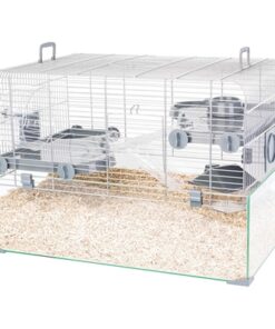 ZOLUX KNAAGDIERKOOI PANAS GRIJS