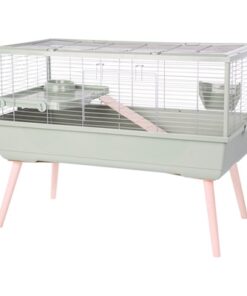 ZOLUX KNAAGDIERKOOI CAVIA NEOLIFE GROEN