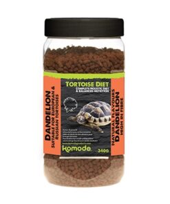 KOMODO VOER SCHILDPAD PAARDENBLOEM