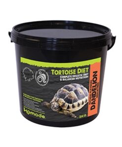 KOMODO VOER SCHILDPAD PAARDENBLOEM