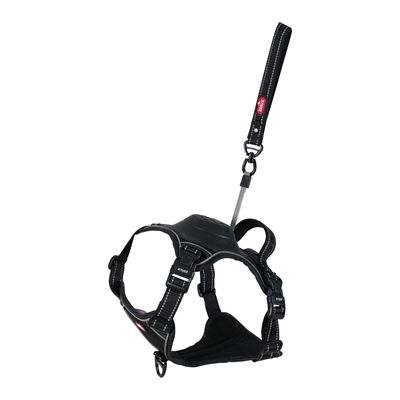 ZOLUX EASYRIDE HONDENTUIG ZWART