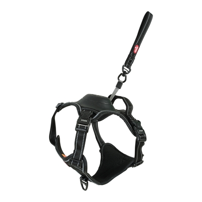 ZOLUX EASYRIDE HONDENTUIG ZWART