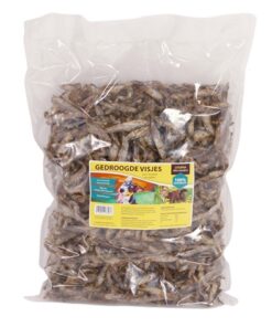 UTOPIA GEDROOGDE VISJES HOND / KAT