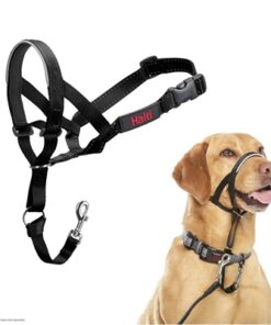 COMPANY OF ANIMALS HALTI HEADCOLLAR ZWART