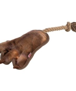 TRIXIE DIERENPOOT MET TOUW BRUIN