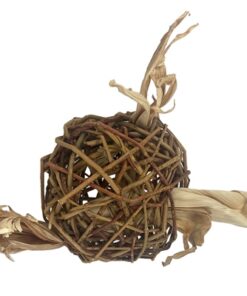 HAPPY PET SPEELBAL WILG NATURE FIRST