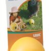 SAVIC KIPPENSPEELTJE CHICKEN FUN