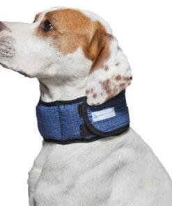 ZZZHALSBAND AQUA COOLKEEPER PACIFIC BLUE