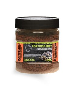 KOMODO VOER SCHILDPAD PAARDENBLOEM
