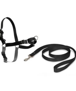 PETSAFE EASY WALK ANTI-TREK TUIG ZWART