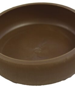 KOMODO MEELWORM SCHAALTJE