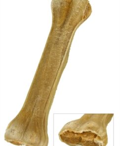 PETSNACK GEPERST BOT GEVULD MET ZALM