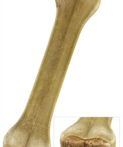 PETSNACK GEPERST BOT GEVULD MET RUND