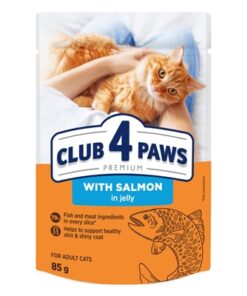 CLUB 4 PAWS PREMIUM ADULT SALMON IN JELLY POUCH