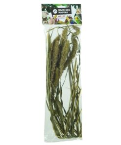 BACK ZOO NATURE MILLET SETARIA