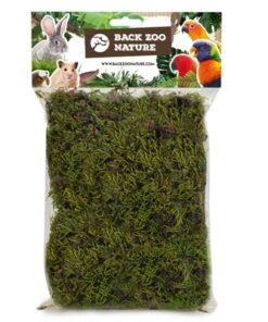 BACK ZOO NATURE FOREST MOSS